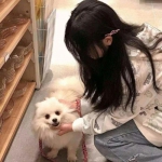 江南足球appapp下载